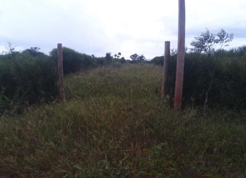 01 LOTE RURAL 300M² SEM REGISTRO EM CARTÓRIO NO POVOADO DOS PATOS - CALCULÉ/BA. - leilão judicial - Caculé BA - lance mínimo R$ 12.000