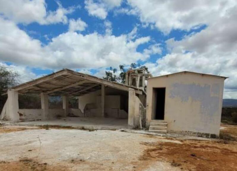 LOTE 001 UMA ÁREA DE 9.756m², COM GALPÃO E DIVERSAS BENFEITORIAS, EM ITUAÇU/BA, localizado em Ituaçu - BA