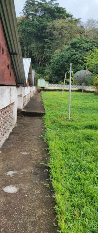 LOTE 001 IMÓVEL RURAL DENOMINADA FAZENDA SANTA HELENA I COM 136ha36a40ca EM ITAJUÍPE-BA, localizado em Itajuípe - BA