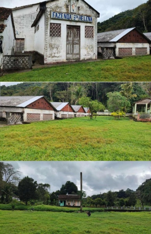 LOTE 001 IMÓVEL RURAL DENOMINADA FAZENDA SANTA HELENA I COM 136ha36a40ca EM ITAJUÍPE-BA, localizado em Itajuípe - BA
