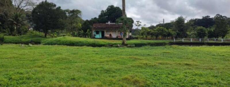 LOTE 001 IMÓVEL RURAL DENOMINADA FAZENDA SANTA HELENA I COM 136ha36a40ca EM ITAJUÍPE-BA, localizado em Itajuípe - BA