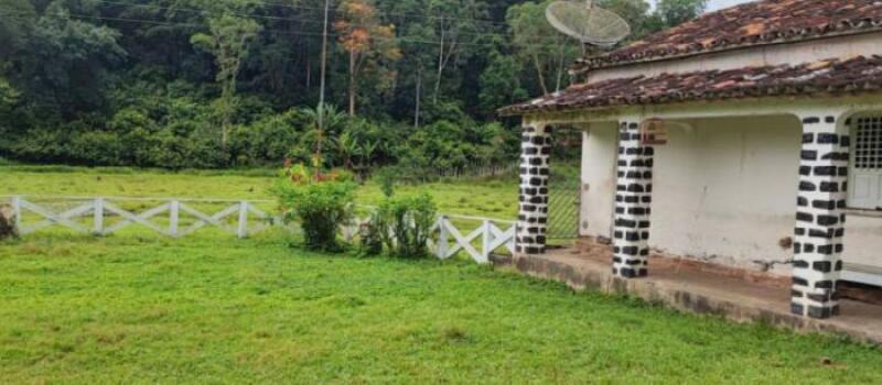 LOTE 001 IMÓVEL RURAL DENOMINADA FAZENDA SANTA HELENA I COM 136ha36a40ca EM ITAJUÍPE-BA, localizado em Itajuípe - BA