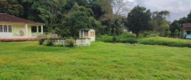 LOTE 001 IMÓVEL RURAL DENOMINADA FAZENDA SANTA HELENA I COM 136ha36a40ca EM ITAJUÍPE-BA, localizado em Itajuípe - BA