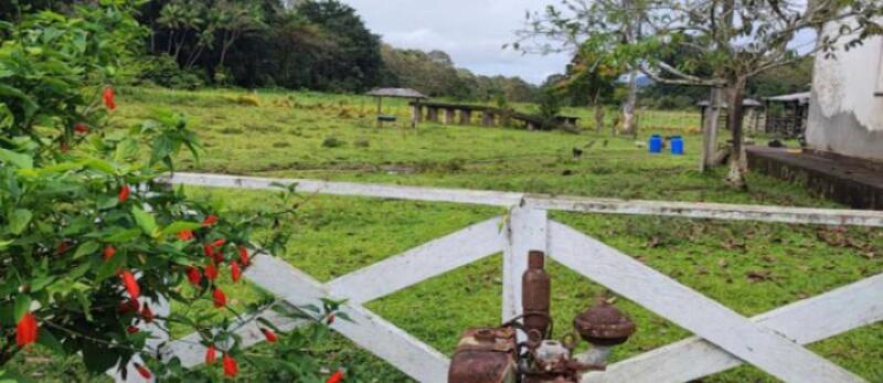 LOTE 001 IMÓVEL RURAL DENOMINADA FAZENDA SANTA HELENA I COM 136ha36a40ca EM ITAJUÍPE-BA, localizado em Itajuípe - BA