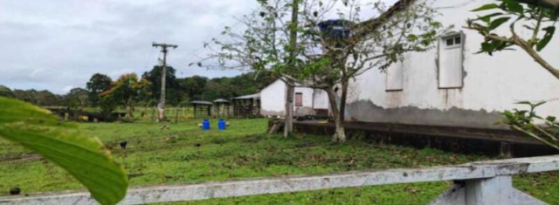 LOTE 001 IMÓVEL RURAL DENOMINADA FAZENDA SANTA HELENA I COM 136ha36a40ca EM ITAJUÍPE-BA, localizado em Itajuípe - BA