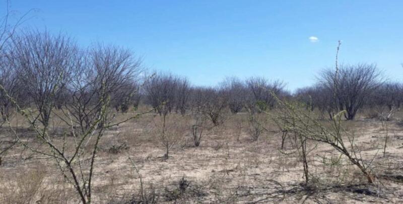 Imagem do imóvel LOTE 001 ÁREA DE TERRAS MEDINDO 40ha.35A E 00CA, DENOMINADO FAZENDA MARINGÁ, LOCALIZADA EM SENTO-SÉ-