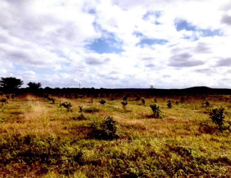 Imagem do imóvel LOTE 001 UM IMÓVEL RURAL, “SÍTIO CELINA” - COM ÁREA DE 09,15,12 HECTARES EM CASA NOVA/BA.