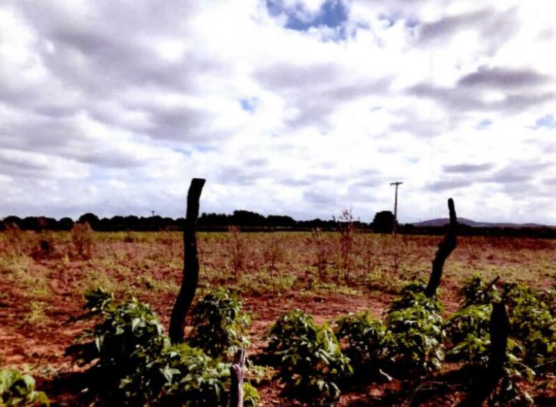 Gleba no Zona Rural (foto 2 de 5)