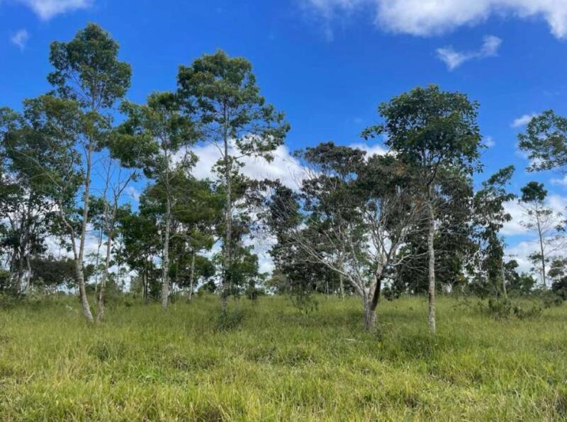 Gleba no Lucaia (foto 10 de 18)