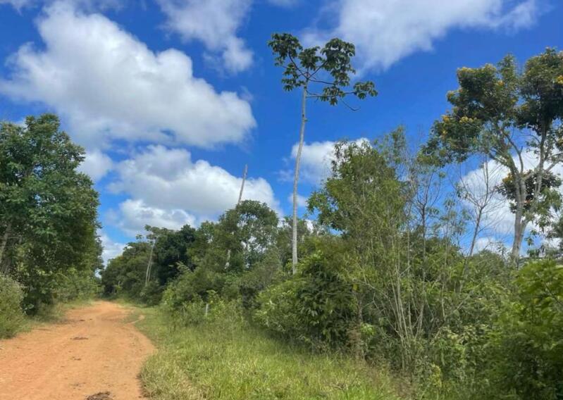 Gleba no Lucaia (foto 16 de 18)